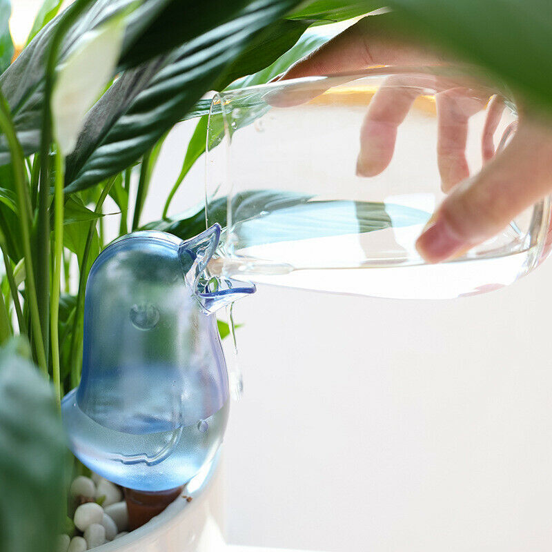 Automatic Plant Watering Device Flower Pot Self Water Tool - Dshop.com.au