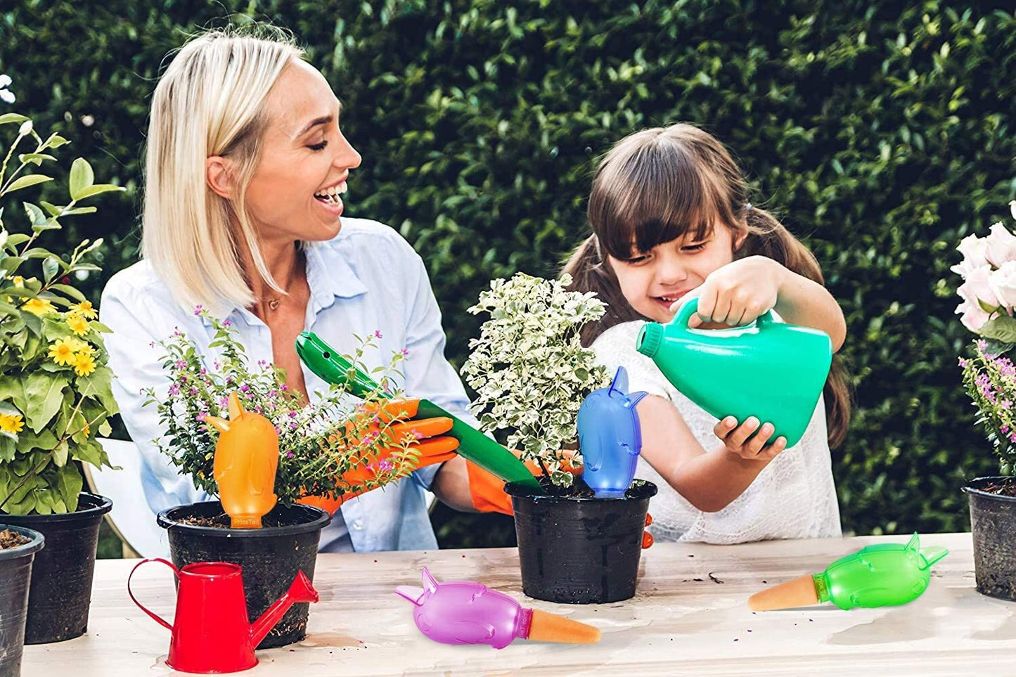 Automatic Plant Watering Device Flower Pot Self Water Tool - Dshop.com.au