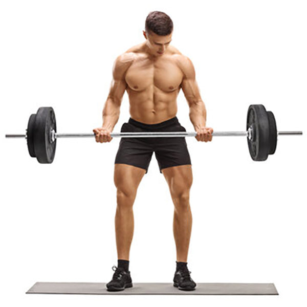 Standard Barbell Weight Lifting Bar 1.5m -Straight