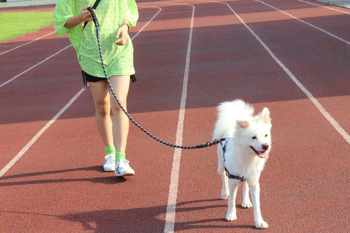 Dog Leash Comfortable Padded Strong Reflective Lead
