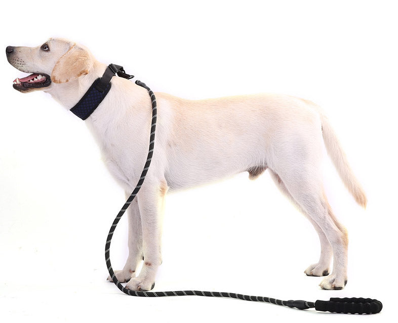 Dog Leash Comfortable Padded Strong Reflective Lead