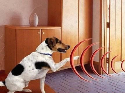 Smart Collar Weather Proof Receiver for Electronic Dog Fence Containment System