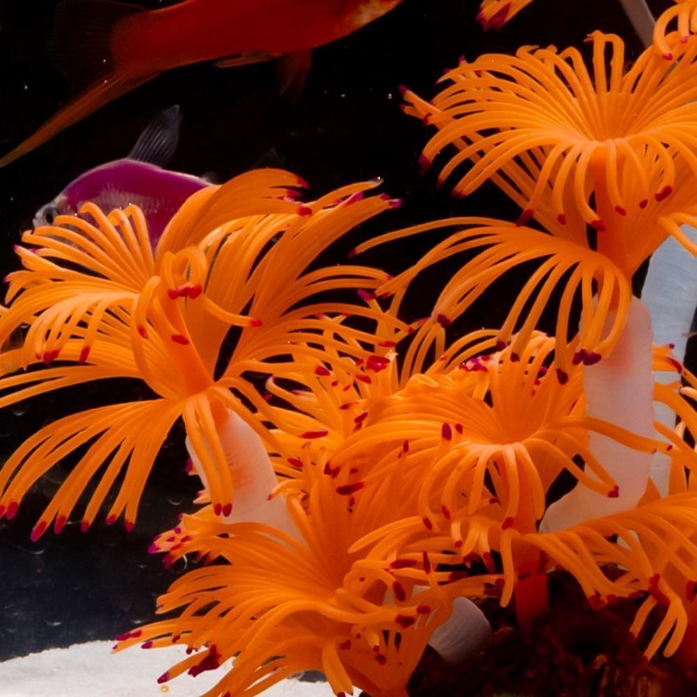 Artificial Coral Aquarium Decor Silicone Plants Fish Tank Decoration