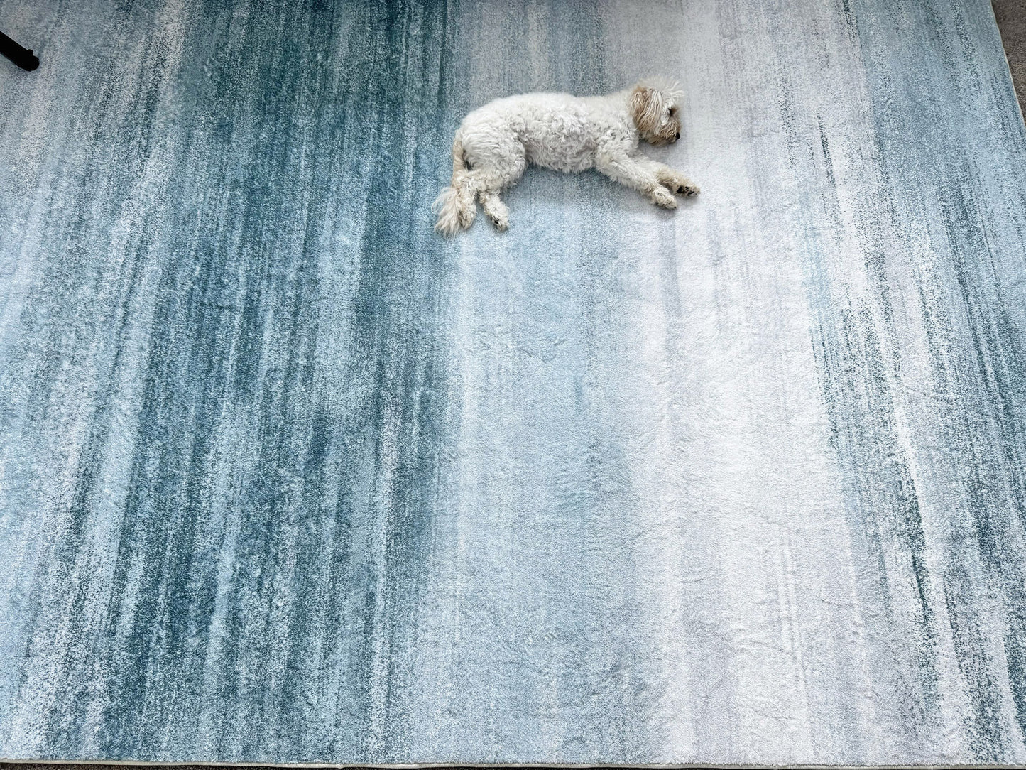 XL Extra Large Lush Plush Seaside Carpet Rug (300 x 200)