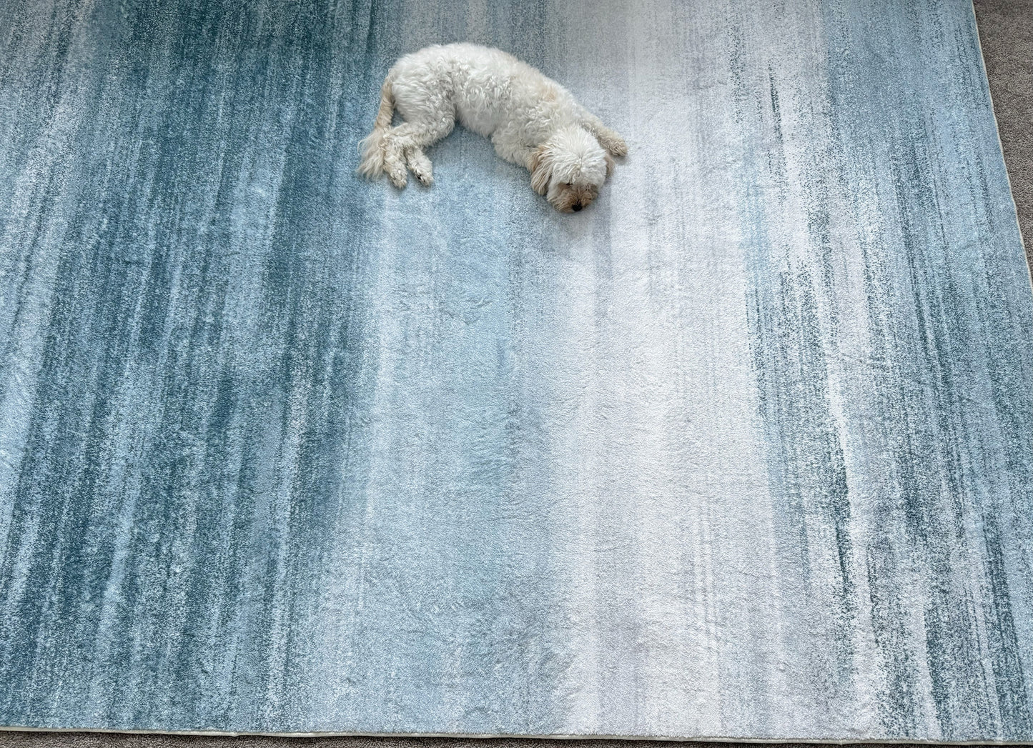 XL Extra Large Lush Plush Seaside Carpet Rug (300 x 200)