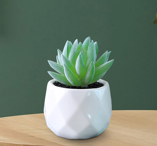 Artificial Succulent Pot Plant