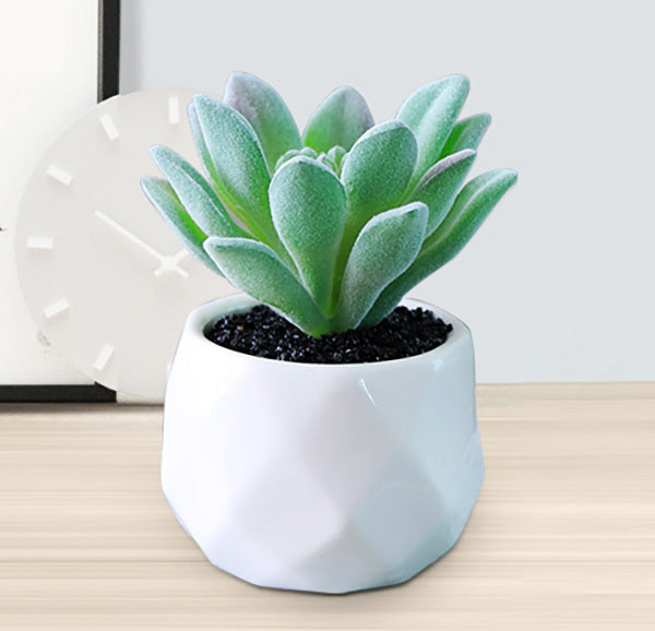Artificial Succulent Pot Plant