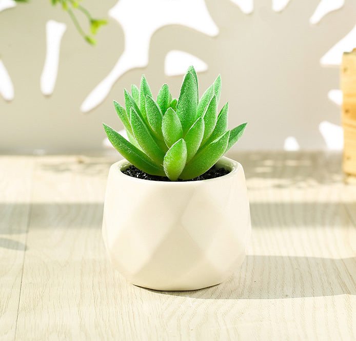 Artificial Succulent Pot Plant