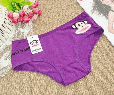 4 x Cute Monkey Print Cotton Briefs Underwear (Assorted Colours) - Dshop.com.au