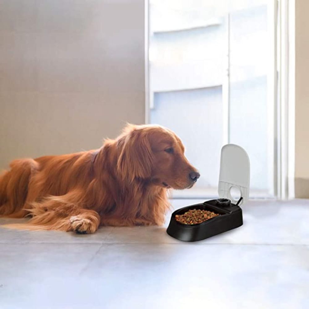 Automatic Pet Feeder Meal Dispenser Timed Food Bowl for Dogs Cats - Dshop.com.au