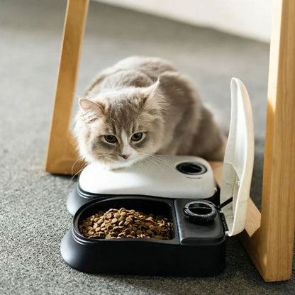 Automatic Pet Feeder Meal Dispenser Timed Food Bowl for Dogs Cats - Dshop.com.au