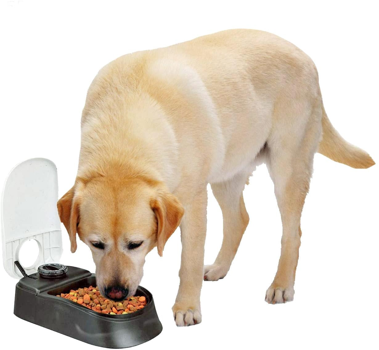 Automatic Pet Feeder Meal Dispenser Timed Food Bowl for Dogs Cats - Dshop.com.au