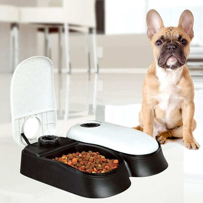 2-Meal Automatic Pet Feeder Food Dispenser with Timer Bowls for Dogs Cats - Dshop.com.au