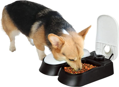 2-Meal Automatic Pet Feeder Food Dispenser with Timer Bowls for Dogs Cats - Dshop.com.au