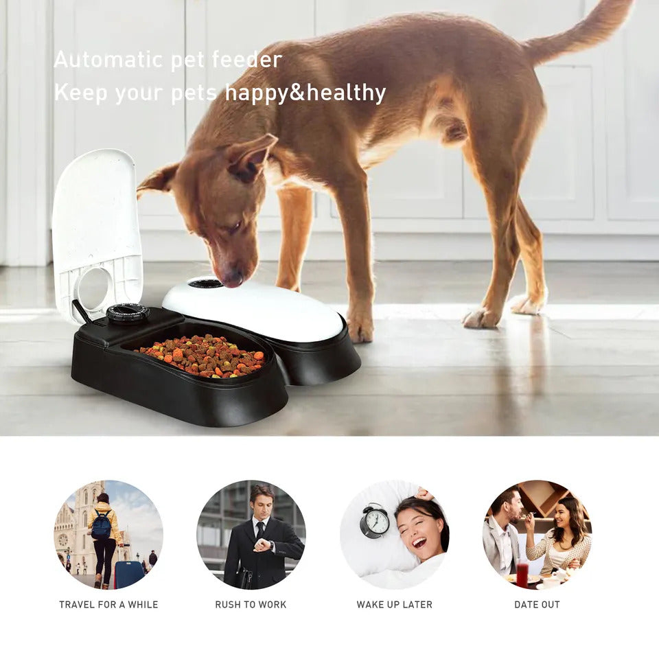 2-Meal Automatic Pet Feeder Food Dispenser with Timer Bowls for Dogs Cats - Dshop.com.au