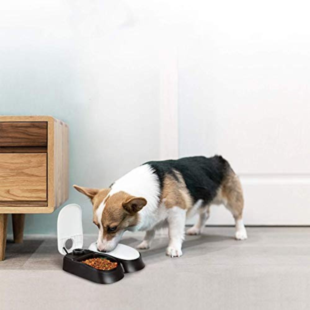 2-Meal Automatic Pet Feeder Food Dispenser with Timer Bowls for Dogs Cats - Dshop.com.au