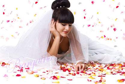 100 Wedding Bridal Flower Rose Petals (Ivory & Gold) - Dshop.com.au