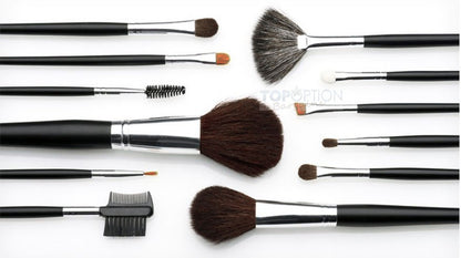 12PC Professional Makeup Brush Set with Case - Dshop.com.au