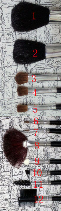 12PC Professional Makeup Brush Set with Case - Dshop.com.au