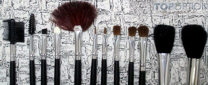 12PC Professional Makeup Brush Set with Case - Dshop.com.au