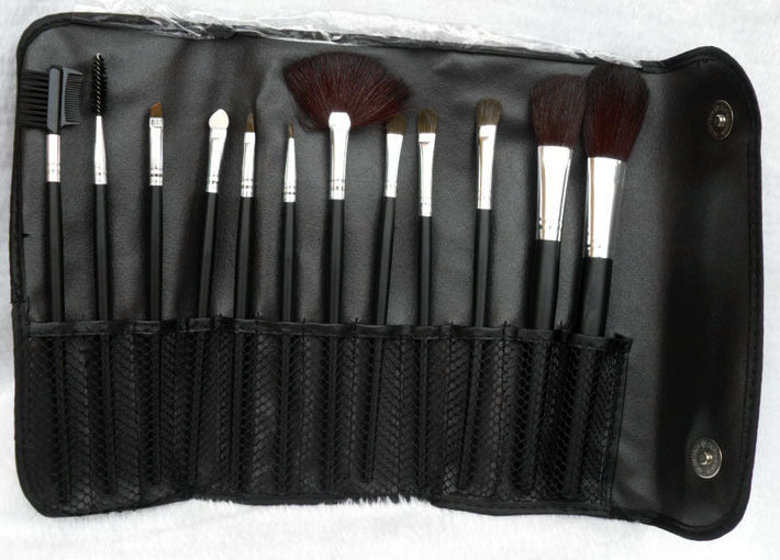 12PC Professional Makeup Brush Set with Case - Dshop.com.au