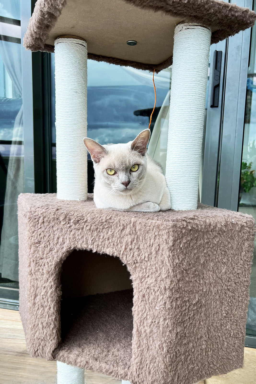 4-Level Large Cat Scratching Post Pole Tower (Tan) - Dshop.com.au