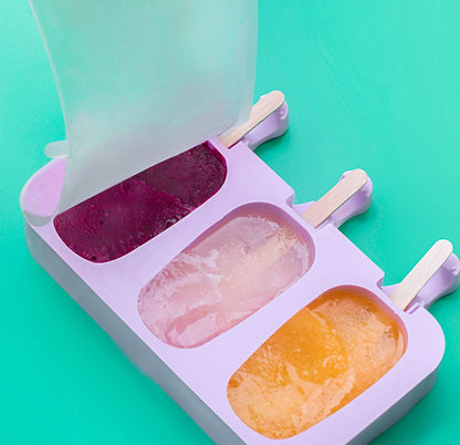 Silicone Ice Cream Cakesicle Popsicle 4-Piece Moulds - Dshop.com.au