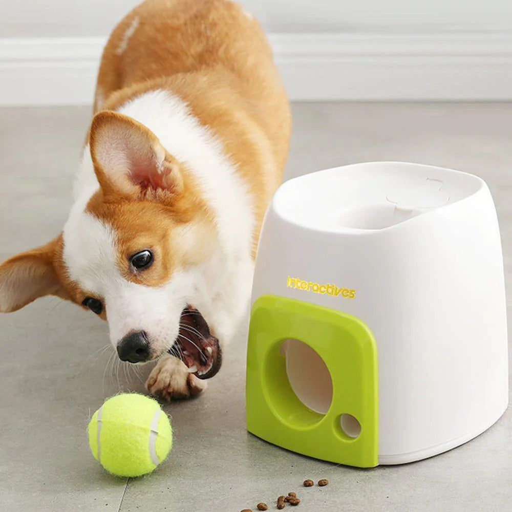 Automatic Pet Feeder Interactive Fetch & Treat Toy Tennis Ball Launcher Dog Training Machine - Dshop.com.au