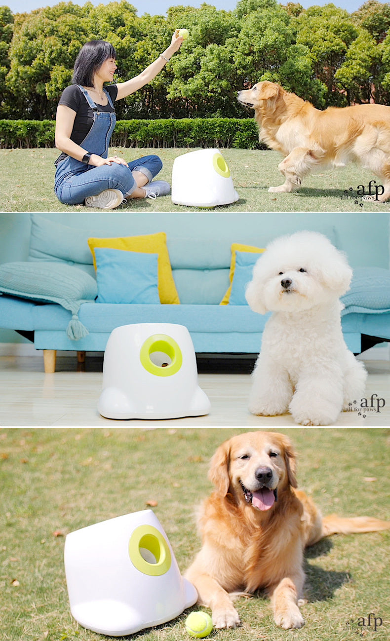 Automatic Pet Feeder Interactive Fetch & Treat Toy Tennis Ball Launcher Dog Training Machine - Dshop.com.au