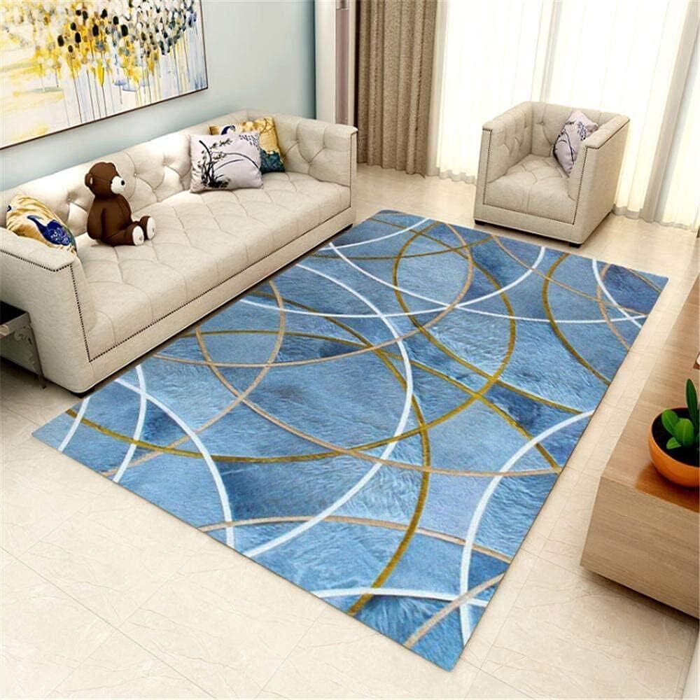 Large Splendid Rug Carpet Mat (230 x 160) - Dshop.com.au