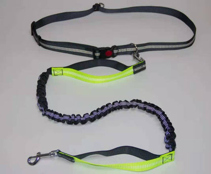 Dog Leash Hand Free Running Bungee Dog Lead