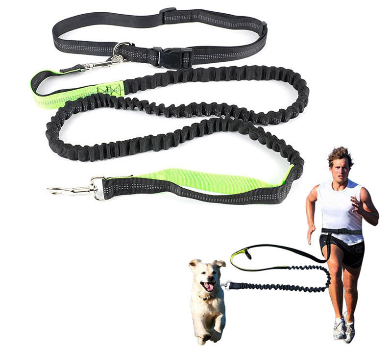 Dog Leash Hand Free Running Bungee Dog Lead