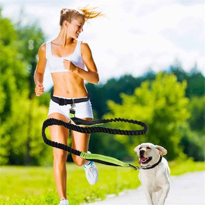 Dog Leash Hand Free Running Bungee Dog Lead