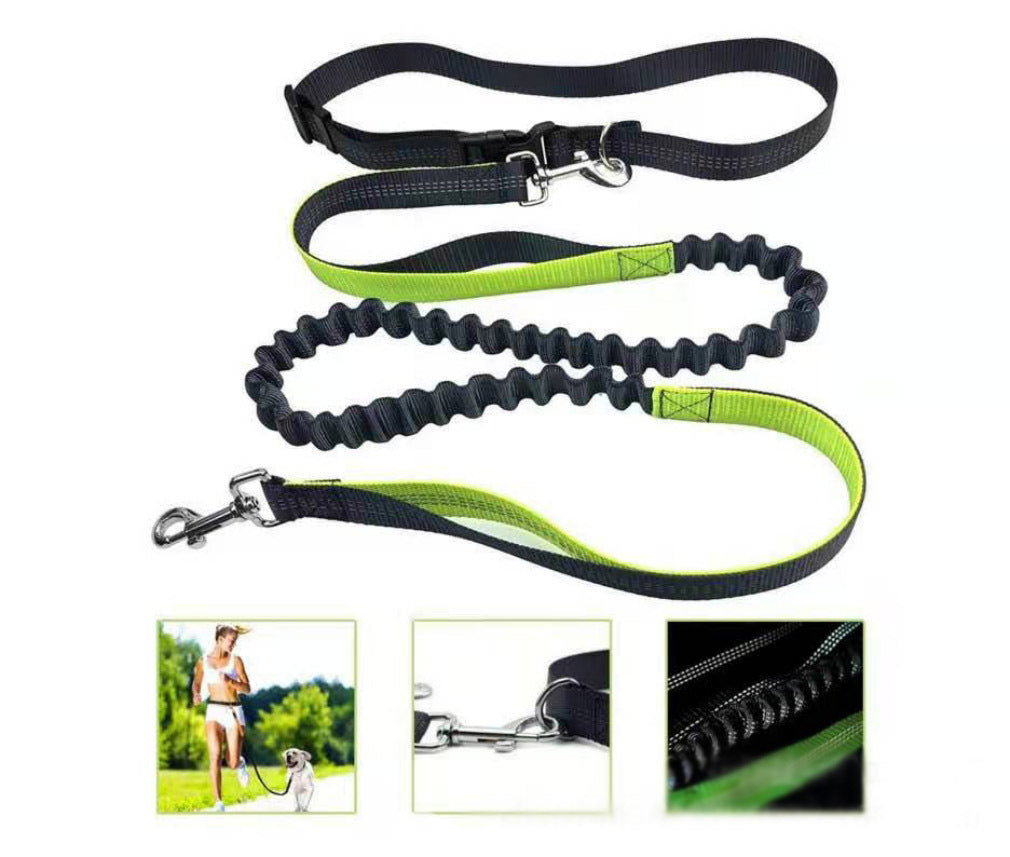 Dog Leash Hand Free Running Bungee Dog Lead