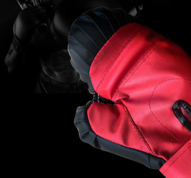 Fitness Training Boxing Gloves (Black & Red)