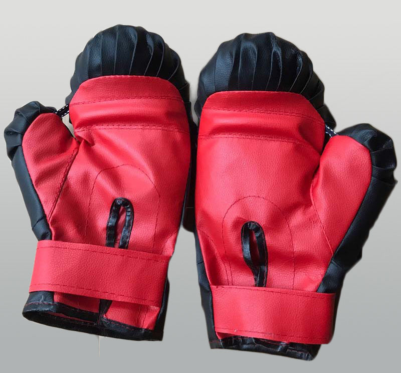 Fitness Training Boxing Gloves (Black & Red)