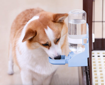 Pet Water Gravity Dispenser Bottle Feeder Station (Blue)