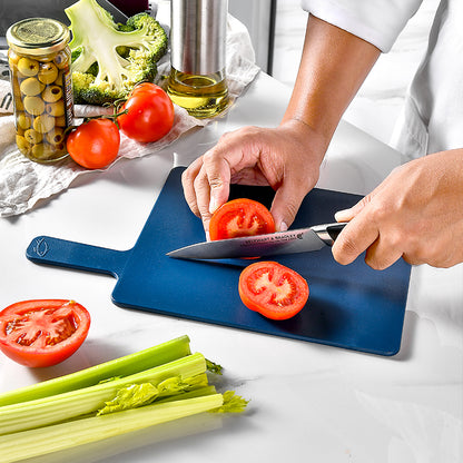 4-Piece Set Colour Coded Chopping Cutting Boards with Stand