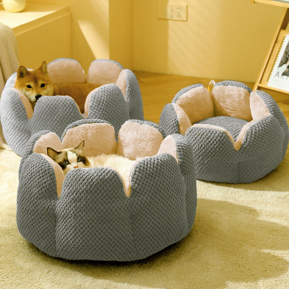 Large Cactus Flower Petal Shaped Pet Bed Comfy Cat Dog Nest (Grey, 60cm)