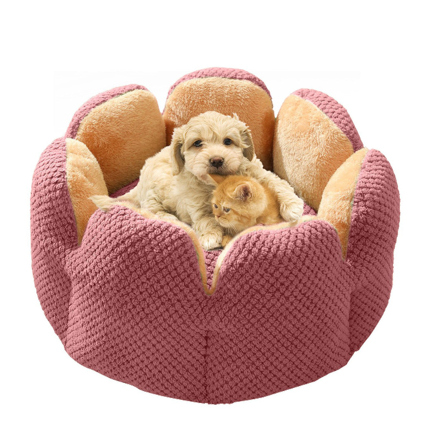 Large Cactus Flower Petal Shaped Pet Bed Comfy Cat Dog Nest (Purple, 60cm)