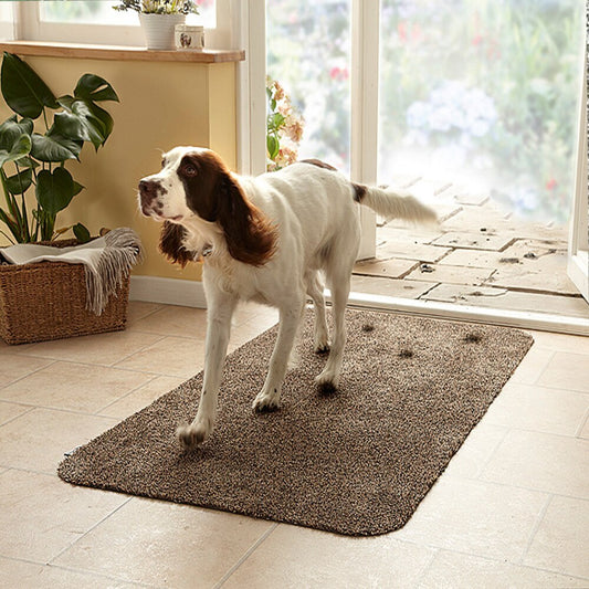 Super Absorbent Clean Step Mat Microfibre Doormat Traps Dirt Water (Brown)