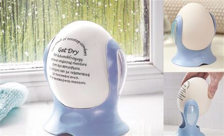 Dehumidifying Egg Portable Wireless Dehumidifier