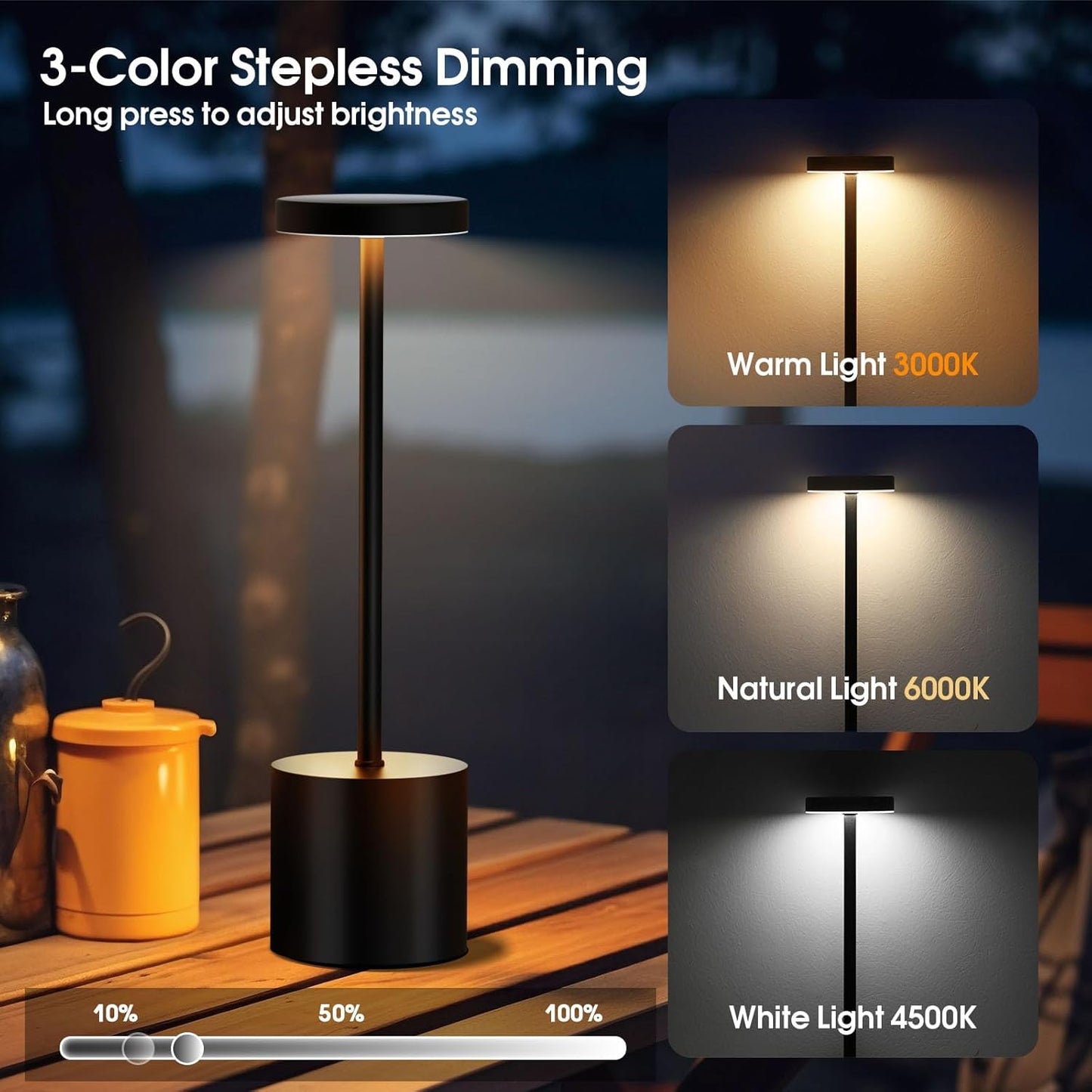 Luxury Designer LED Metal Tall Table Lamp Cordless Touch Sensor Night Light (Black)