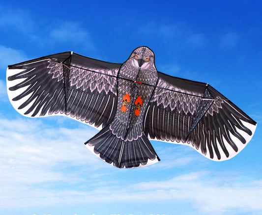 1.6m Large Eagle Kite