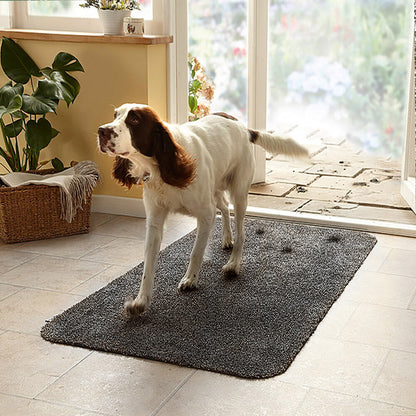 Super Absorbent Clean Step Mat Microfibre Doormat Traps Dirt Water (Dark Grey)