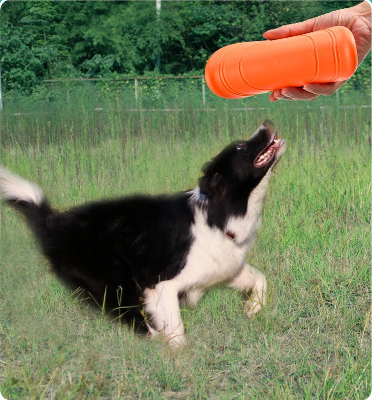 Dog Frisbee Flying Disc Pet Training Toy (Orange)