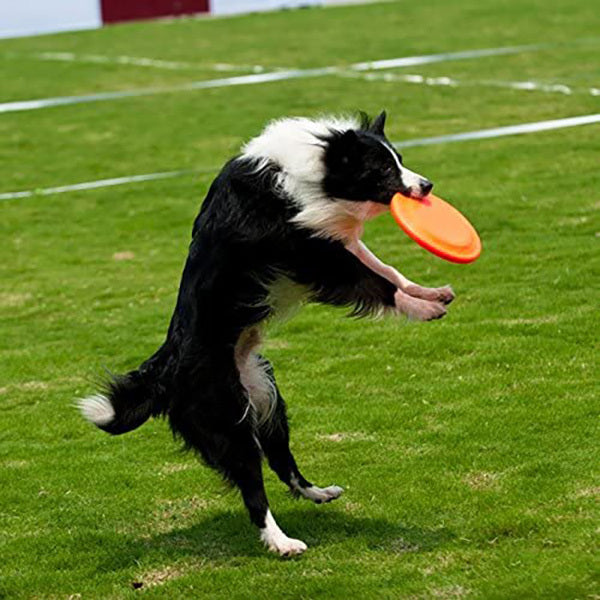 Dog Frisbee Flying Disc Pet Training Toy (Orange)