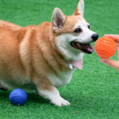 Bouncy Dog Ball Solid Floating Bouncing Toy