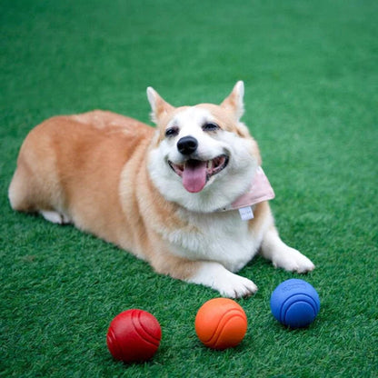 Bouncy Dog Ball Solid Floating Bouncing Toy