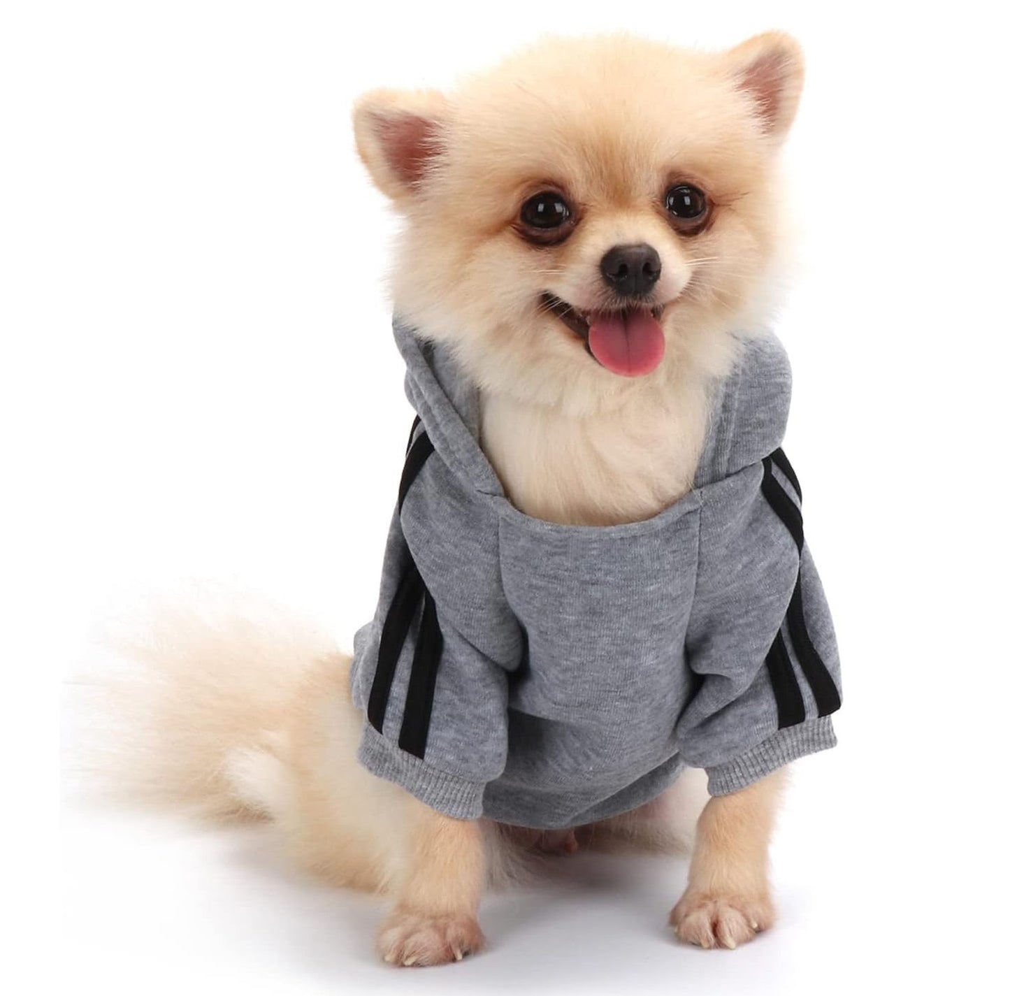 Pet Hoodie Sweatshirt Puppy Dog Clothing Jacket Sweater Coat Jumper (M)